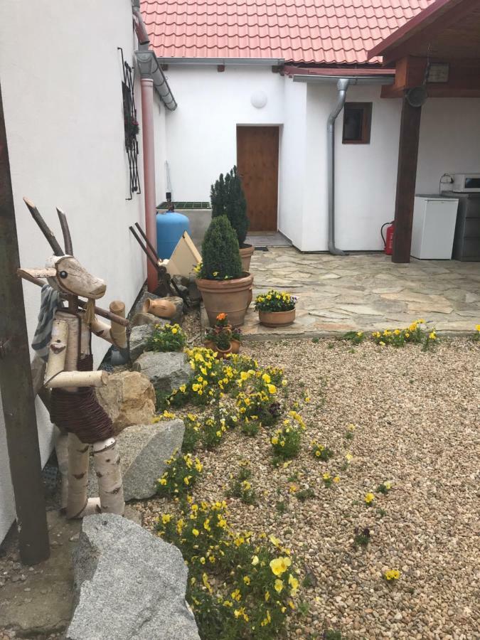 Ubytování Alena Suchohrdly Exterior foto